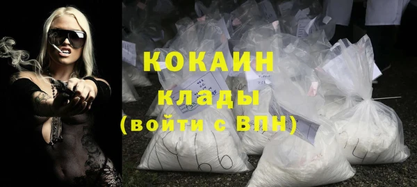индика Белокуриха