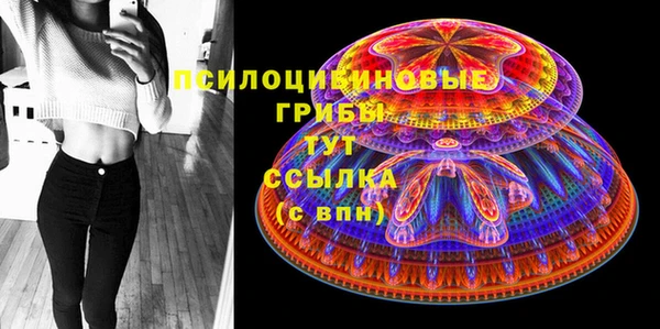 индика Белокуриха