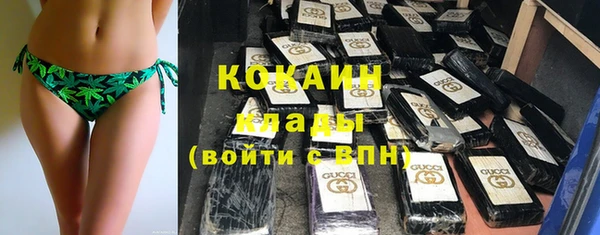 индика Белокуриха