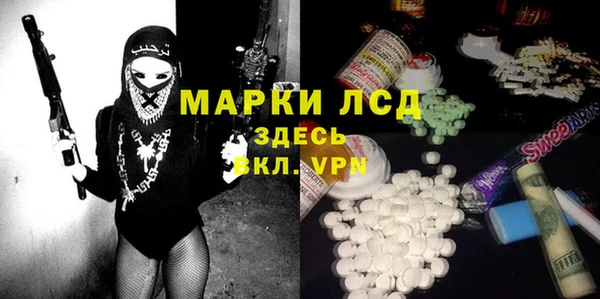индика Белокуриха
