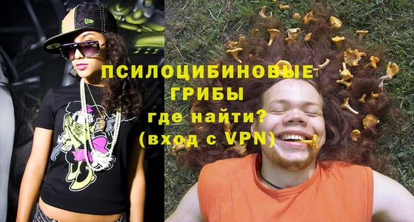 apvp Балахна