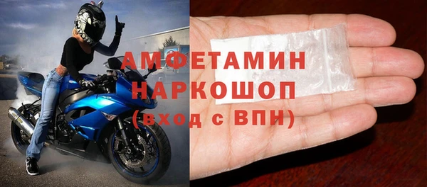 индика Белокуриха
