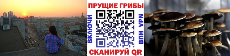 купить   Енисейск  Псилоцибиновые грибы прущие грибы 
